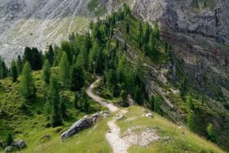 Безкоштовне житло в Греції: як працює система house sitting